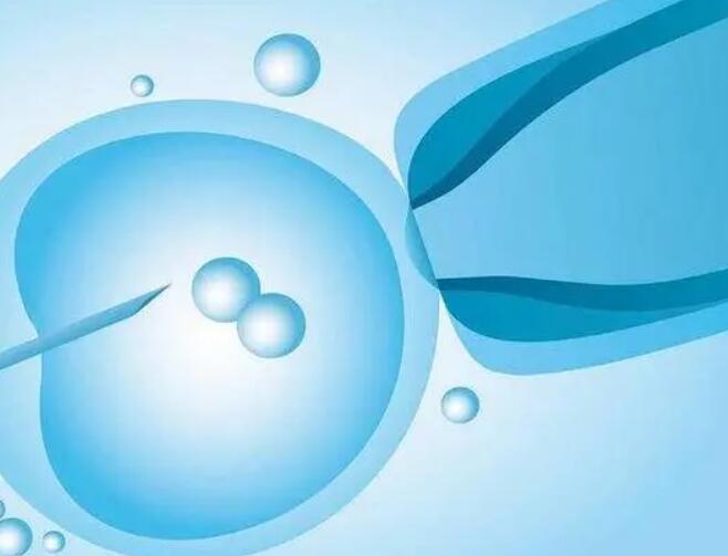 试管移植后胎停率高原因解答，染色体异常是重要因素