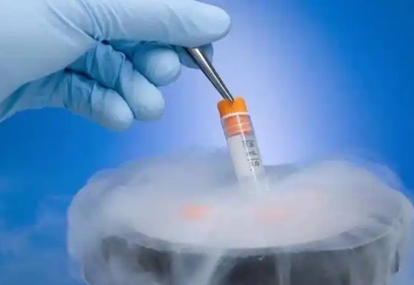 在国内公立三甲医院复苏冻胚移植一次要多少钱？