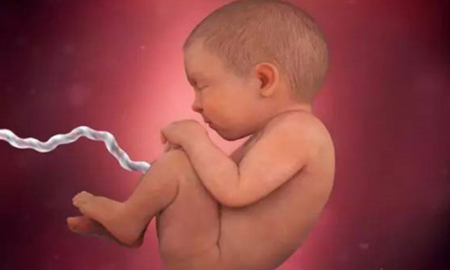 孕39周胎儿的发育情况