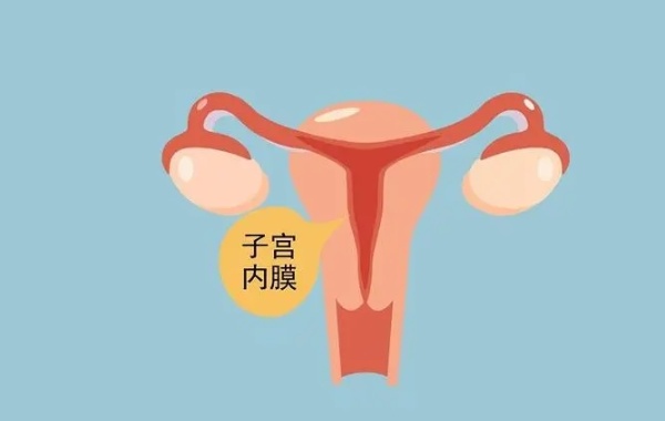 36岁女性子宫内膜薄做一代试管失败几率高吗？