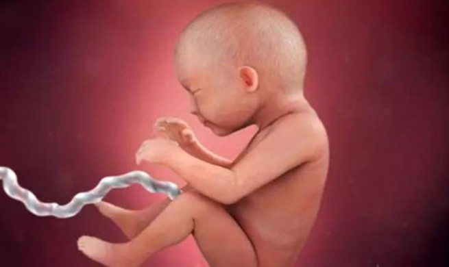 孕29周胎儿的发育情况