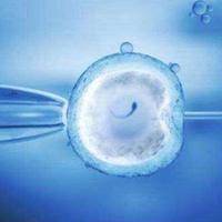 2次试管移植囊胚的步骤，先做什么一看便知