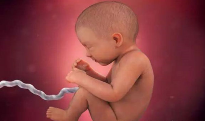 孕34周胎儿的发育情况