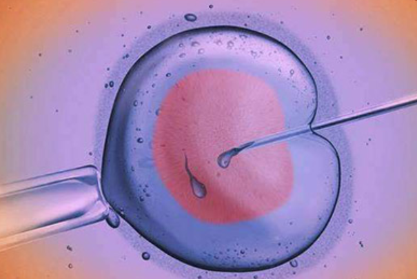 打夜针前一天只有13mm的卵泡取出来后可以配成囊胚吗？