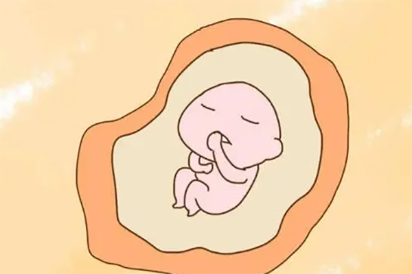 胎儿位置不能看男女