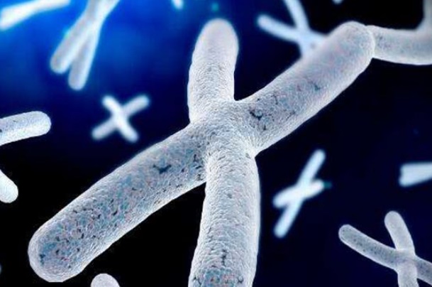 x染色体微重复可以三代试管筛查出来吗？