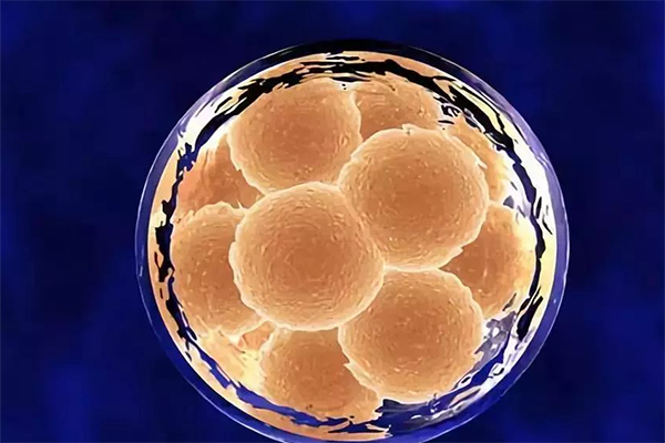 胚胎碎片率小于20%是正常的吗?