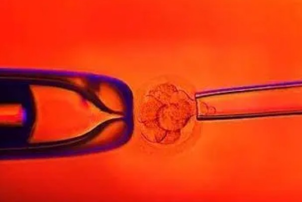 29岁试管做囊胚还是胚胎着床的几率更好啊？