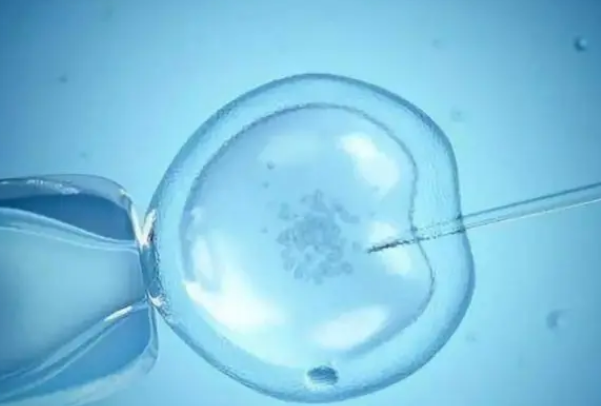 胚胎移植后注意事项一览，术后48小时内尽量不要洗澡
