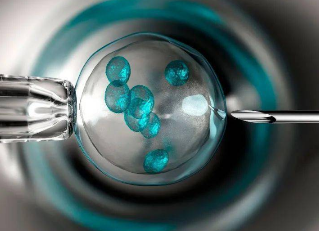 拮抗剂方案取卵后腹水要休息多久才可以移植冷冻胚胎啊？
