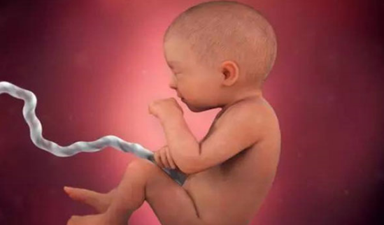 孕31周胎儿的发育情况