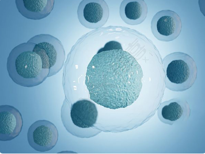 三代试管送检2个囊胚筛查染色体有希望都通过吗?