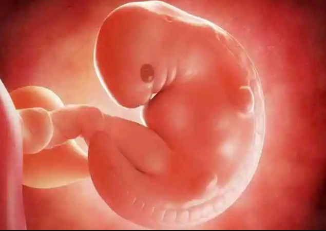 根据胚胎等级分类在体外受精培养5天的3bb囊胚是几级？