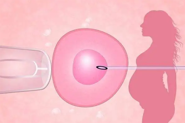 囊胚移植失败是什么原因引起的，胚胎质量不佳是主因