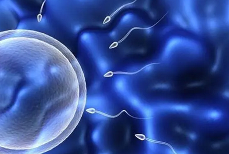 二代试管会从一堆精子里挑出A级精子再来配胚胎吗?