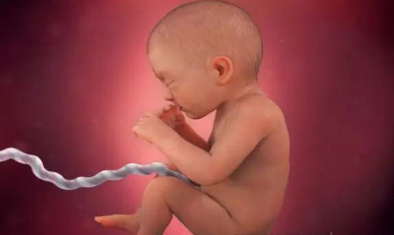 孕32周胎儿的发育情况