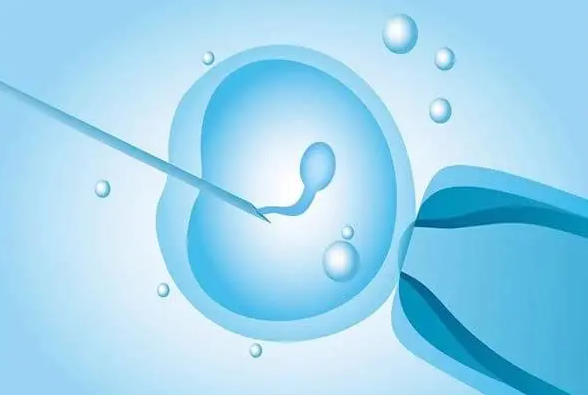 始基子宫试管婴儿怎么做，调节内膜厚度很关键